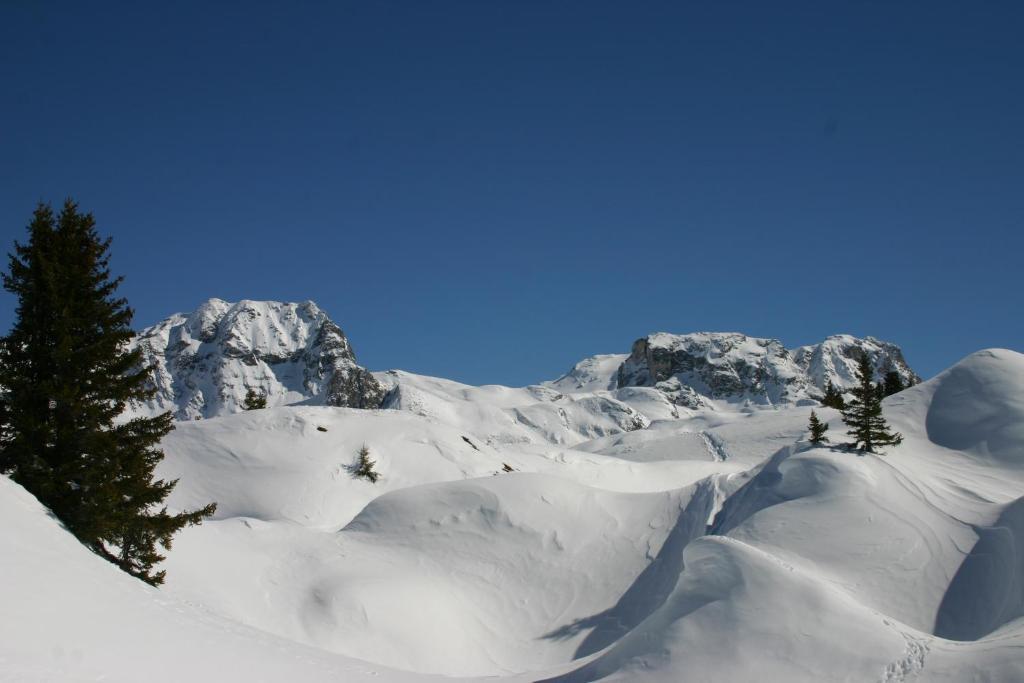 Madame Vacances Les Chalets Du Praz Ла-Плань Экстерьер фото